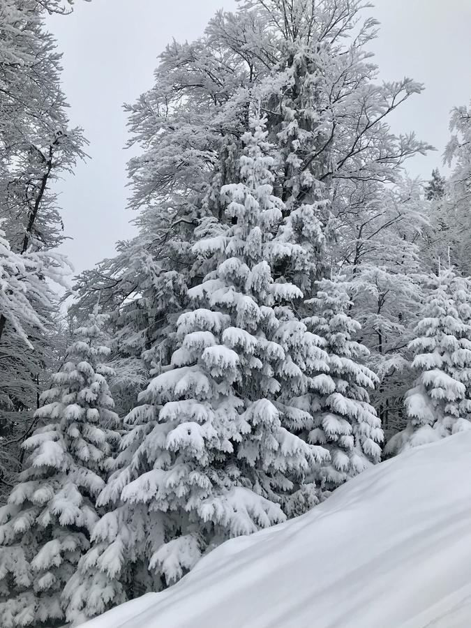 Bergbach Pensjonat Ramsau bei Berchtesgaden